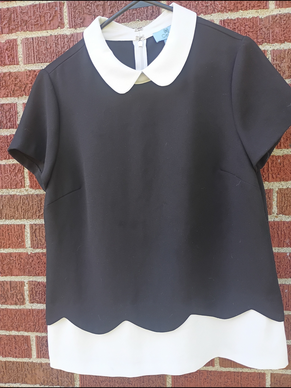 Cece Peter Pan Collar Short Sleeve Blouse